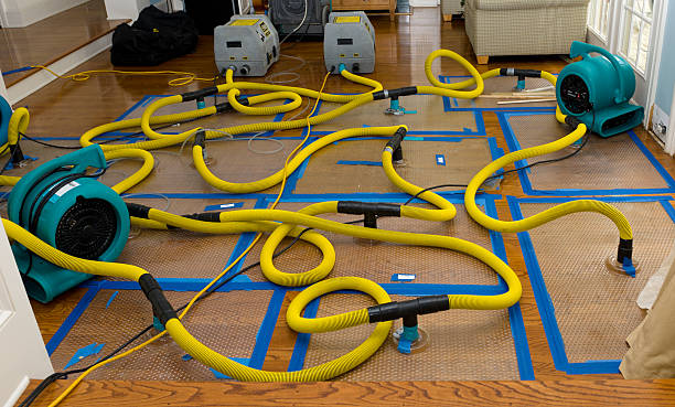 Professional Basement Flood Cleanup technician working in Lake Park, NC